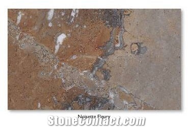 Noisette Fleury Limestone Slabs & Tiles