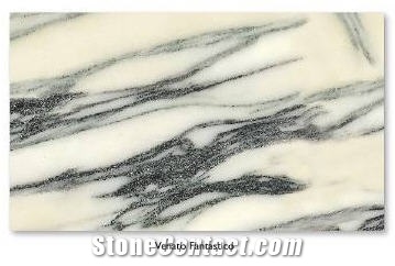 Venato Fantastico Marble Slabs & Tiles, Italy White Marble