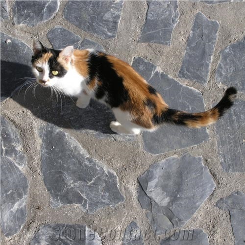 Black Slate Flagstone Paver