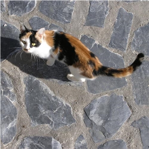 Black Slate Flagstone Paver