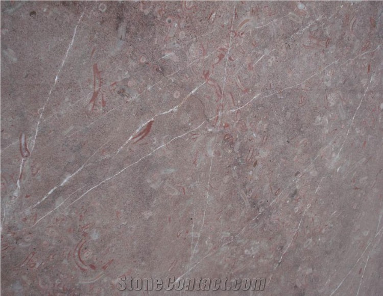 Casserian Red Marble Slabs & Tiles