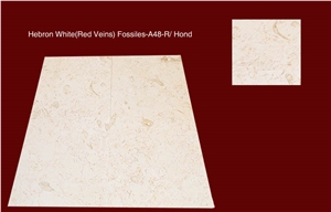 Hebron White (Red Veins) Fossiles Honed
