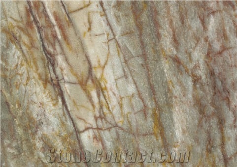 Brazilian Dream Granite Slabs & Tiles
