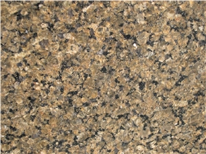 Tropic Brown Granite Slabs & Tiles, Saudi Arabia Brown Granite