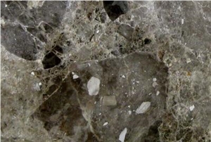 Breccia Paradiso Marble Slabs, Italy Brown Marble Breccia Paradiso Marble Slabs, Italy Brown Marble