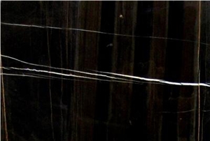 Nero Tunisi Marble Tiles, Tunisia Black Marble Nero Tunisi Marble Tiles, Tunisia Black Marble