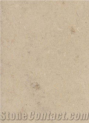 Beauharnais French Limestone Slabs & Tiles