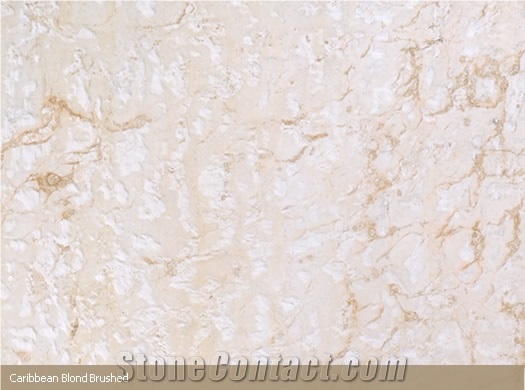 Brushed Caribbean Blond Coral Stone Tile