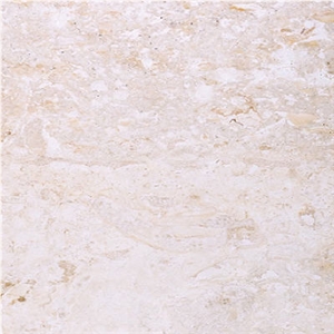 Classic Coral Stone Tiles, Dominican Republic Beige Coral Stone