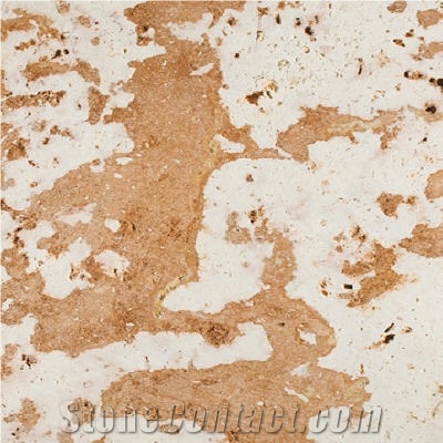Sunny Coral Stone Tiles, Dominican Coral Stone