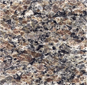 New Caledonia Granite Wall Tile, Brazil Brown Granite