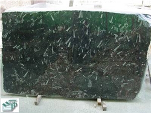Fossil Black Limestone Slabs, Morocco Black Limestone