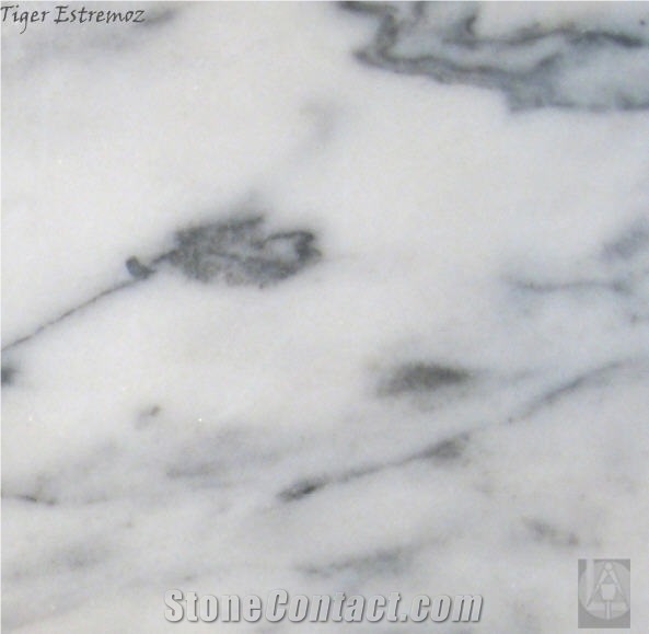 Tiger Estremoz Marble Slabs & Tiles