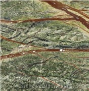 Rain Forest Green Marble Slabs & Tiles, India Green Marble