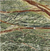 Rain Forest Green Marble Slabs & Tiles, India Green Marble