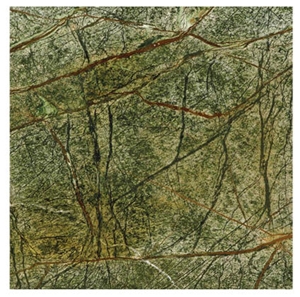 Rain Forest Green Marble Slabs & Tiles, India Green Marble
