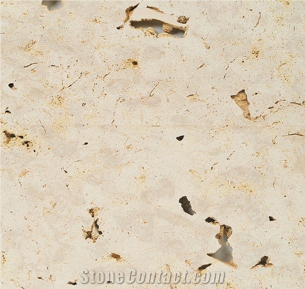 Piedra Coralina Coral Stone Tiles