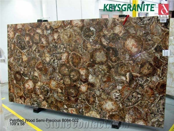 Petrified Wood Semi Precious Slabs