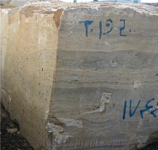 Persian Gray - Skin Snake Travertine Blocks