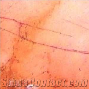 Chamtou Marble Slabs & Tiles