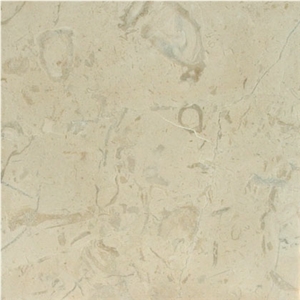 Crema Novita (shown with a Honed Surface Finish) Crema Novita (shown with a Honed Surface Finish)