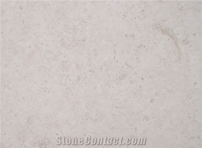 Jerusalem Bone Limestone Slabs & Tiles, Israel White Limestone
