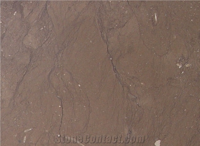 Kaesar Brown Portofino Brown