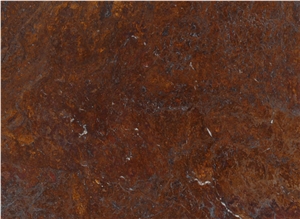 Oak Bamboo Quartzite Slabs & Tiles, Brazil Brown Quartzite