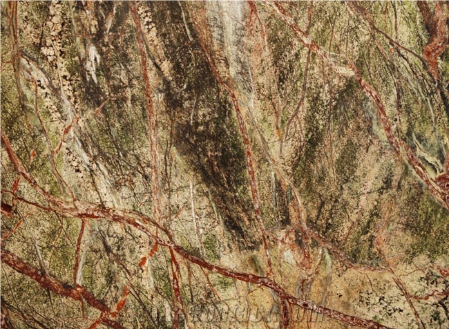 Rain Forest Green Marble Slabs & Tiles, India Green Marble
