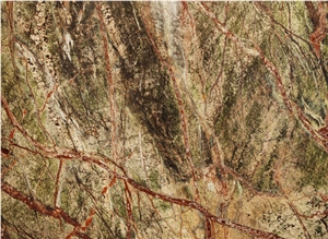 Rain Forest Green Marble Slabs & Tiles, India Green Marble