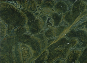 Vitoria Regia Quartzite, Brazil Green Quartzite Slabs & Tiles