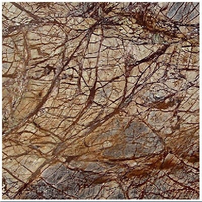 Rain Forest Brown Marble Slabs & Tiles, India Brown Marble