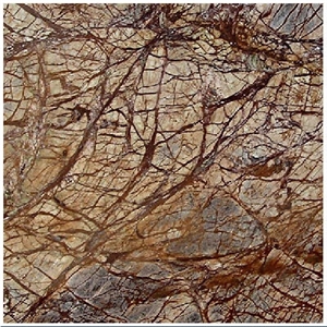 Rain Forest Brown Marble Slabs & Tiles, India Brown Marble Rain Forest Brown Marble Slabs & Tiles, India Brown Marble