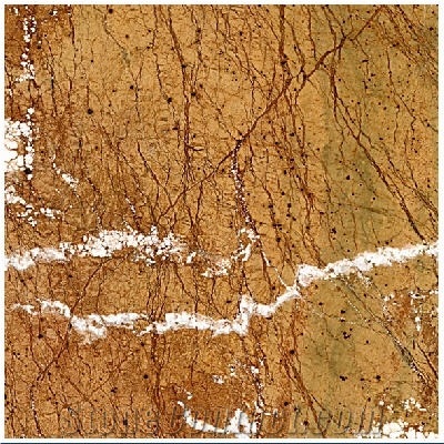 Rainforest Gold Marble Slabs & Tiles