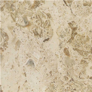 Aurisina Fiorita Lumachella Limestone Tiles, Italy Beige Limestone