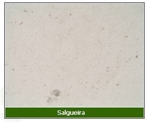 Salgueria Limestone Slabs & Tiles