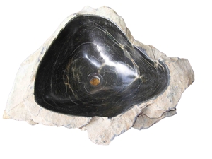 Petrified Wood Serpentine Abstrack Washtufel Sink Petrified Wood Serpentine Abstrack Washtufel Sink