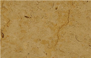 Jerusalem Shells Limestone Slabs & Tiles