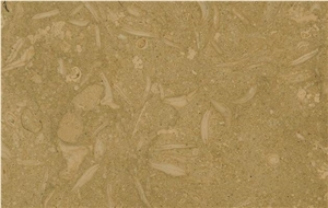 Pewter Fossil Limestone Slabs & Tiles Pewter Fossil Limestone Slabs & Tiles