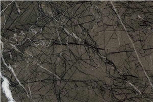 Grigio Carnico Marble Slabs & Tiles, Italy Grey Marble Grigio Carnico Marble Slabs & Tiles, Italy Grey Marble