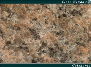 Caledonia Granite Slabs & Tiles, Canada Brown Granite Caledonia Granite Slabs & Tiles, Canada Brown Granite