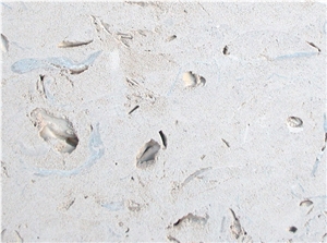 Perryfield Roach Limestone Slabs & Tiles, United Kingdom White Limestone