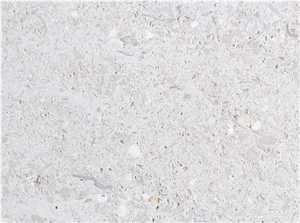 Perryfield Shelly Limestone Slabs & Tiles, United Kingdom Grey Limestone