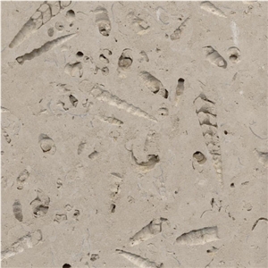 Portland Bowers Roach Limestone Slabs & Tiles, United Kingdom White Limestone