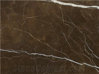 Ancona Marble Slabs & Tiles