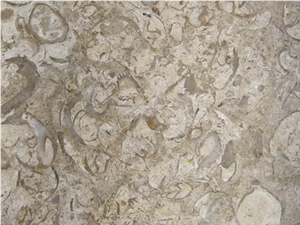 Shell Brown Limestone Slabs & Tiles
