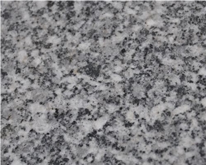 CG002 Chinese Granite White Grain