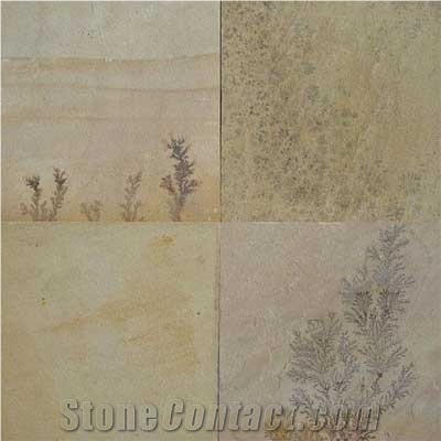 Fossil Mint Sandstone Slabs & Tiles, India Beige Sandstone