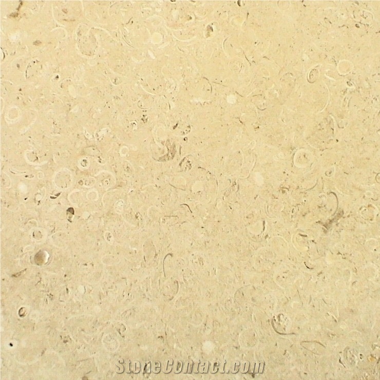 Coquina Shellstone Limestone Slabs & Tiles, Mexico Beige Limestone