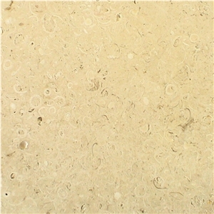 Coquina Shellstone Limestone Slabs & Tiles, Mexico Beige Limestone
